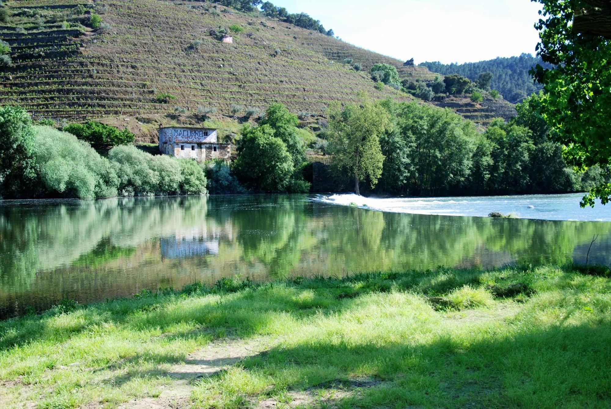 Casa Oliveiras Do Douro Villa Sobreira Exterior photo