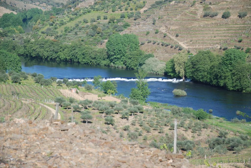 Casa Oliveiras Do Douro Villa Sobreira Exterior photo